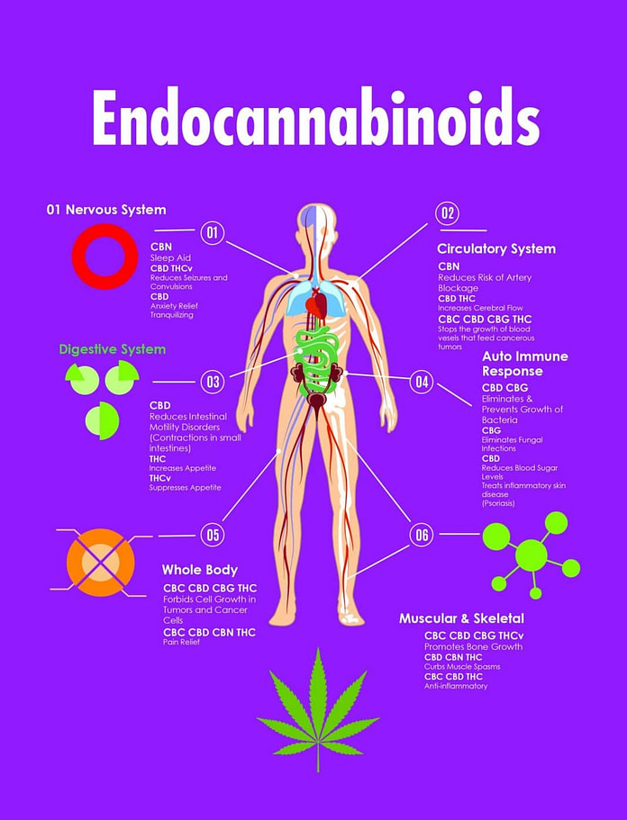 Cannabinoids Play In Alleviating Pain And Inflammation | Kurple Magazine